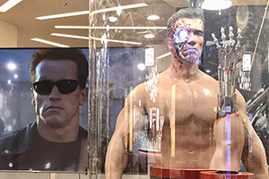 Terminator in Mostra